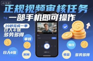 正规视频审核任务,一部手机即可操作,20秒完成一单,日入4张,多劳多得【揭秘】-泱泱学习社
