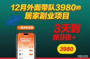 12月外面带队3980的居家副业项目，一部手机实测3天到账9张+，首发教程【揭秘】-泱泱学习社