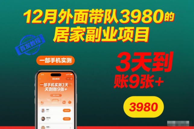 12月外面带队3980的居家副业项目，一部手机实测3天到账9张+，首发教程【揭秘】-泱泱学习社