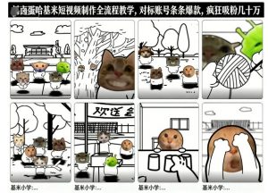 卤蛋哈基米短视频制作全流程教学，条条爆款，疯狂吸粉几十万-泱泱学习社