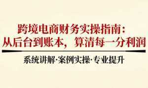 2025跨境电商财务实操指南-泱泱学习社