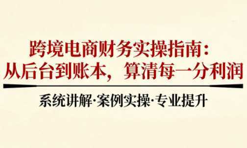 2025跨境电商财务实操指南-泱泱学习社