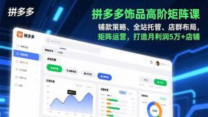 拼多多饰品高阶矩阵课，铺款策略、全站托管、店群布局，矩阵运营，打造月利润5万+店铺-泱泱学习社