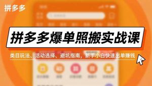 拼多多爆单照搬实战课，类目玩法、活动选择、避坑指南，新手小白快速出单赚钱-泱泱学习社