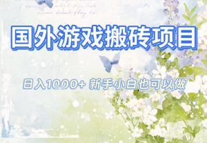 国外游戏全自动搬砖项目，日入10张，新手小白也可做，项目红利期，先搞先吃肉【揭秘】-泱泱学习社