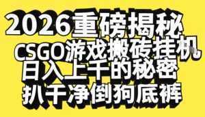 2026开年重磅解密，CSGO游戏搬砖挂G日入1k+的秘密，把倒狗的底裤扒干【揭秘】-泱泱学习社