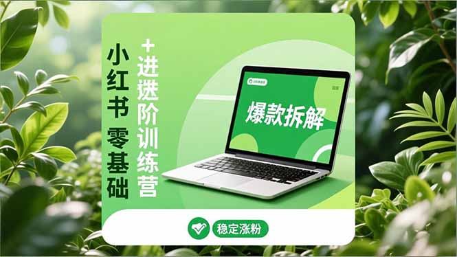 小红书零基础+高阶训练营:安全养号、爆款拆解、长效运营,实现稳定涨粉与变现-泱泱学习社