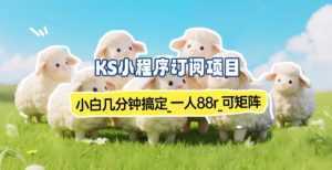 小程序订阅项目_小白几分钟搞定，一人88米，可矩阵(已测到账)-泱泱学习社