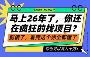 26年了,不要再疯狂的找项目了,看完这个你也可以月入十个W【揭秘】-泱泱学习社