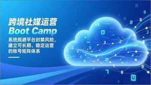 跨境社媒运营Boot Camp：系统规避平台封禁风险，建立可长期、稳定运营的账号矩阵体系-泱泱学习社