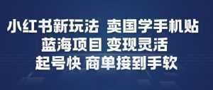 小红书新玩法，卖国学手机贴，蓝海项目，变现灵活，起号快，商单接到手软-泱泱学习社