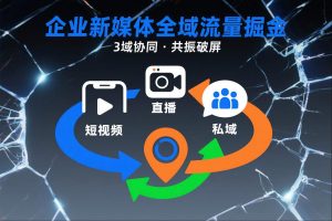 短视频全域商业模式，企业新媒体全域流量掘金，3域协同，共振破屏，短视频-直播-私域-地域-泱泱学习社