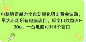 电脑EA策略挂机项目单窗口收益20-30u，单电脑可挂5-10个窗口收益稳健4位数-泱泱学习社