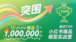 小红书爆品模型实战营，从新品突围到成为类目TOP，可复制路径，打造多个营收百万级爆品-泱泱学习社