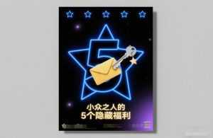 付费文章：小众之人的5个隐藏福利-泱泱学习社