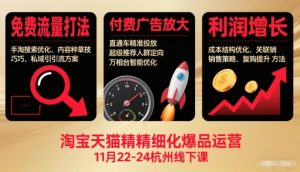 淘宝天猫精细化爆品运营11月22-24杭州线下课,免费流量打法+付费广告放大+利润增长(音频+文档)-泱泱学习社