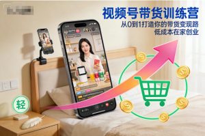 视频号带货训练营，从0到1打造你的带货变现路，低成本在家创业-泱泱学习社