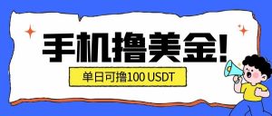 最新手机撸美金项目，单日产值100U+，2026年最新的风口项目-泱泱学习社