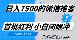 日入7500的微信推客，首批红利，自用省钱、分享赚钱，0门槛小白闭眼冲！-泱泱学习社