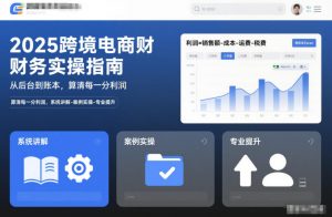 2025跨境电商财务实操指南，从后台到账本，算清每一分利润，系统讲解-案例实操-专业提升-泱泱学习社