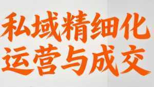 楚老师·私域精细化运营与成交-泱泱学习社