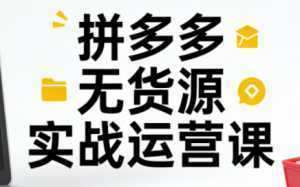 子枫老师·拼多多无货源实战运营课(更新12月)-泱泱学习社