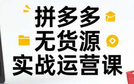 子枫老师·拼多多无货源实战运营课(更新12月)-泱泱学习社