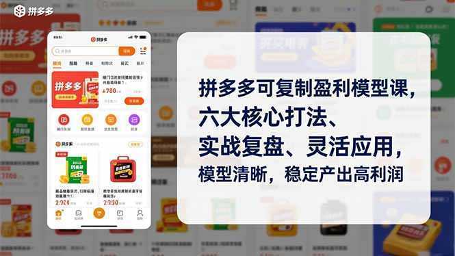 拼多多可复制盈利模型课，六大核心打法、实战复盘、灵活应用，模型清晰，稳定产出高利润-泱泱学习社
