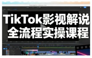 TikTok影视解说全流程实操,手把手教你打造TK爆款解说视频-泱泱学习社