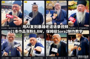 用AI复刻暴躁老道语录视频，21条作品涨粉8.8W，保姆级Sora2制作教学-泱泱学习社