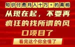 知识付费月入10个W的真相，做网创项目这一个就够了，不要再疯狂的找所谓的风口项目【揭秘】-泱泱学习社