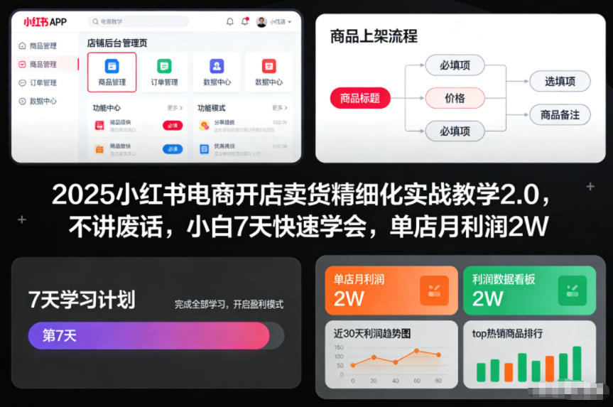 2025小红书电商开店卖货精细化实战教学2.0，不讲废话，小白7天快速学会，单店月利润2W-泱泱学习社