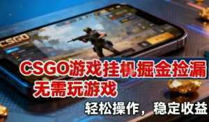 CSGO游戏挂G掘金捡漏，不需要玩游戏，操作简单，收益稳定【揭秘】-泱泱学习社