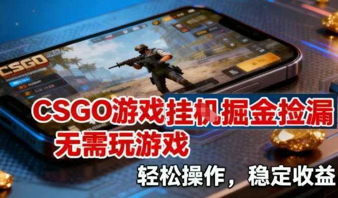 CSGO游戏挂G掘金捡漏，不需要玩游戏，操作简单，收益稳定【揭秘】-泱泱学习社