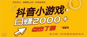 5年爆火的抖音小游戏项目，一部手机日入2000+-泱泱学习社