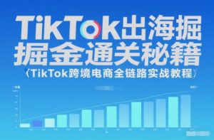 TikTok出海掘金通关秘籍，TikTok跨境电商全链路实战教程-泱泱学习社