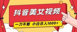 抖音美女视频，一刀不剪，两分钟一条视频，小白轻松上手，日入1000-泱泱学习社