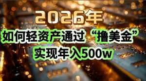 2026年如何轻资产通过“撸美金”实现年入500w-泱泱学习社