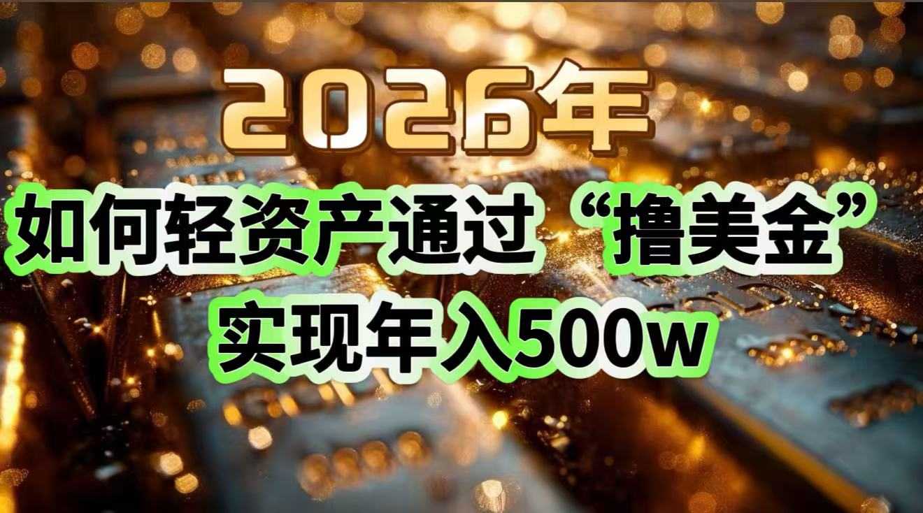 2026年如何轻资产通过“撸美金”实现年入500w-泱泱学习社