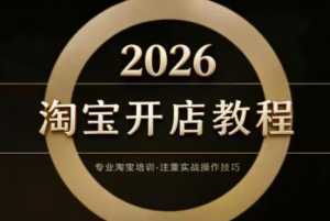 老邓电商·淘宝开店运营教程直通车(更新2026)-泱泱学习社