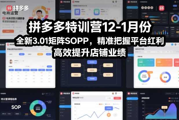 拼多多特训营12-1月份，全新3.01矩阵Sop，精准把握平台红利，高效提升店铺业绩-泱泱学习社