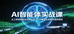 AI智能体实战课：从上岗落地到全自动运营，三天解锁企业降本增效密码-泱泱学习社