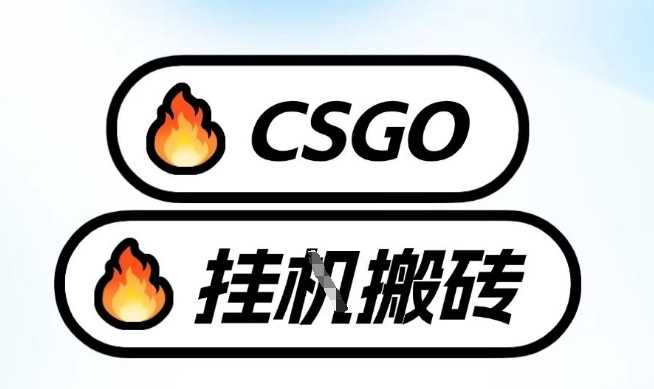 真全网独家CSGO挂G，最新玩法,单日捡漏1K+，不用电脑，不用打游戏【揭秘】