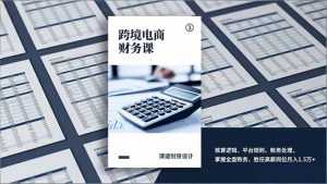 跨境电商财务课，核算逻辑、平台规则、账务处理，掌握全盘账务，胜任高薪岗位月入1.5万+-泱泱学习社