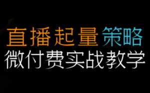 半野老师·直播带货起量与微付费必学课视频号(更新2026)-泱泱学习社