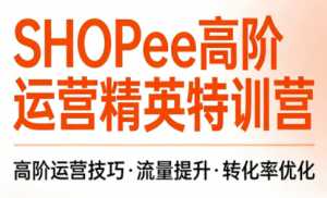 梦凡老师·Shopee虾皮高阶运营课程-泱泱学习社