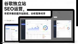 谷歌独立站SEO运营，手把手教你提升网站排名、分析竞争对手(更新2026)-泱泱学习社