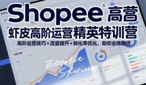 Shopee虾皮高阶运营精英特训营，高阶运营技巧+流量提升+转化率优化，助你业绩翻倍-泱泱学习社