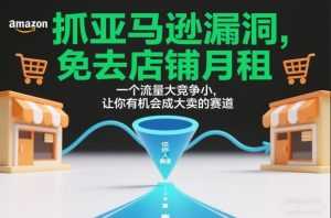 抓亚马逊漏洞，免去店铺月租，一个流量大竞争小，让你有机会成大卖的赛道-泱泱学习社