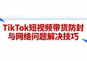 老谭·TikTok短视频带货实拍课程-泱泱学习社
